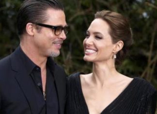 Brad Pitt and Angelina Jolie Create a New Wine for their Joint Business